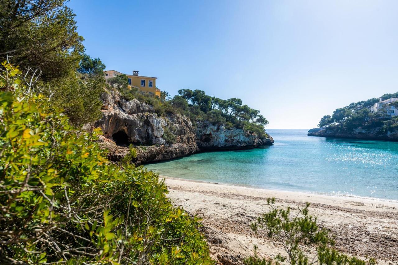 Appartement Aquamarina 5 *